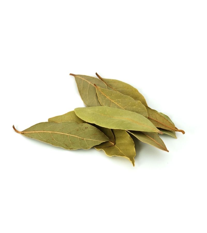 Dried Herb Bay Leaves